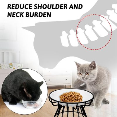 IntiMeg Gamelle en céramique surélevée pour chat