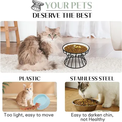 IntiMeg Gamelle en céramique surélevée pour chat