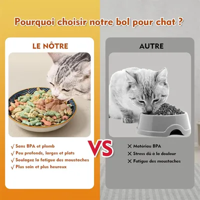 IntiMeg Gamelle en céramique pour chats