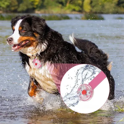 Pet Planet Pendentif lumineux pour chien