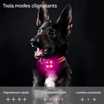 Pet Planet Pendentif lumineux pour chien