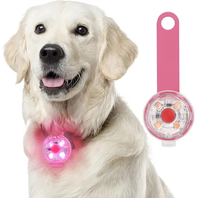 Pet Planet Pendentif lumineux pour chien
