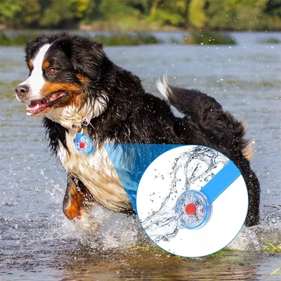 Pet Planet Pendentif lumineux pour chien