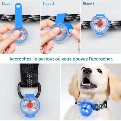 Pet Planet Pendentif lumineux pour chien