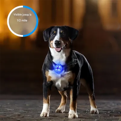 Pet Planet Pendentif lumineux pour chien