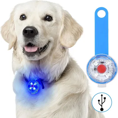 Pet Planet Pendentif lumineux pour chien