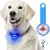 Pet Planet Pendentif lumineux pour chien Pet Planet Pendentif lumineux pour chien