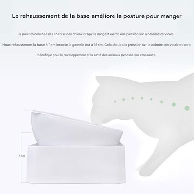 Petopia  Gamelle pour chat pour boire de l'eau et se nourrir