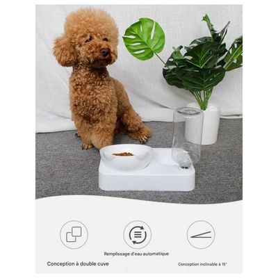Petopia  Gamelle pour chat pour boire de l'eau et se nourrir