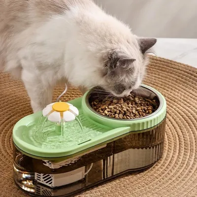 Pet Planet Chats AquaFun Ensemble Fontaine et Bol Alimentaire