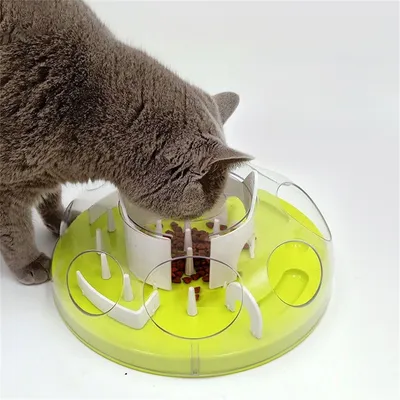 Pet Planet Labyrinthe d'alimentation interactif