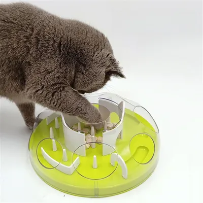 Pet Planet Labyrinthe d'alimentation interactif