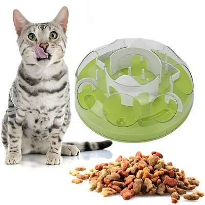Pet Planet Labyrinthe d'alimentation interactif