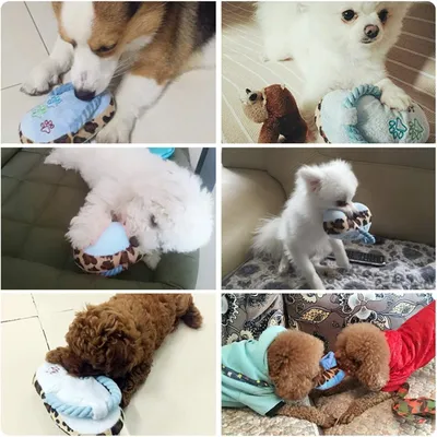Pet Planet Chiens SlipperSet Jouet en Peluche