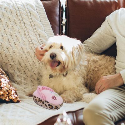 Pet Planet Chiens SlipperSet Jouet en Peluche