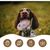 Pet Planet Chiens SlipperSet Jouet en Peluche