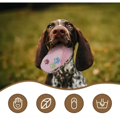 Pet Planet Chiens SlipperSet Jouet en Peluche