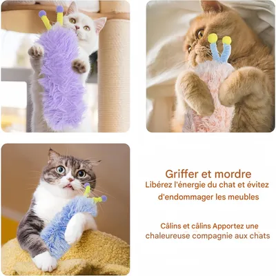 Pet Planet Chats CatnipPillowSet Lot de 3 Jouets