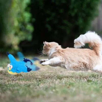 MCBOSON Jouet pour chat oiseau électrique bleu MCBOSON Jouet pour chat oiseau électrique bleu