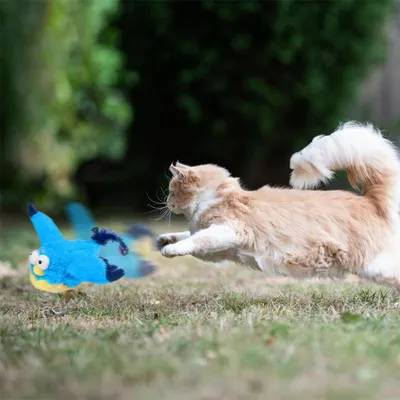 Pet Planet Jouet électronique de oiseau tremblant