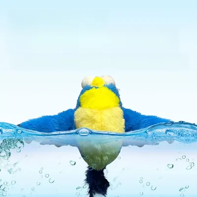 MCBOSON Jouet pour chat oiseau électrique bleu