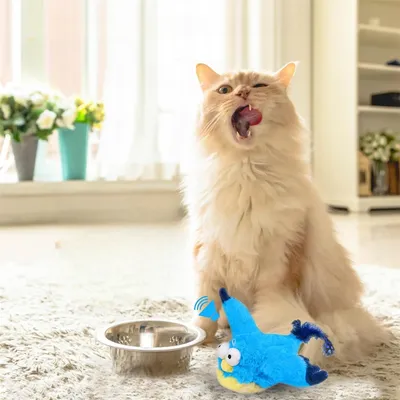 Pet Planet Jouet électronique de oiseau tremblant