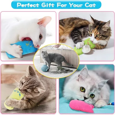 IntiMeg Jouets pour chats en herbe à chat