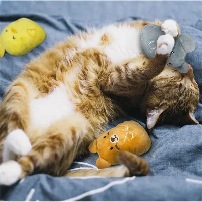 Pet Planet Jouets en peluche à herbe à chat 4 pièces