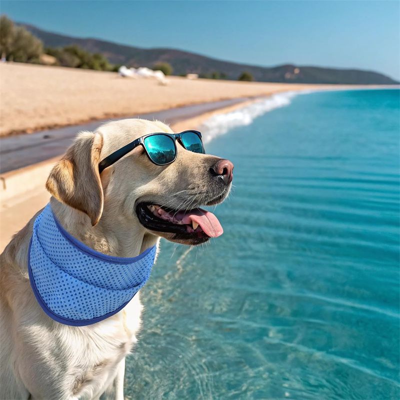 IntiMeg Lot de 2 bandanas rafraîchissants pour chien