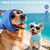 IntiMeg Lot de 2 bandanas rafraîchissants pour chien
