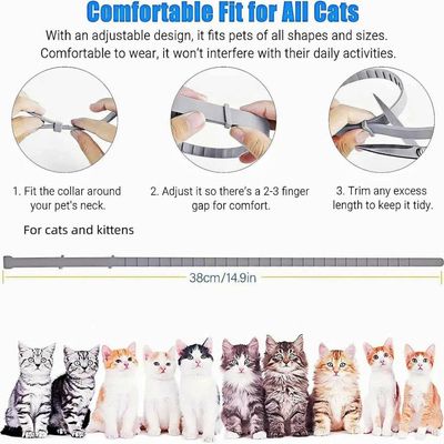 Petopia Lot de 2 colliers pour chat anti-infection