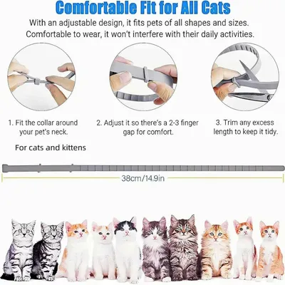 Petopia Lot de 2 colliers pour chat anti-infection Petopia Lot de 2 colliers pour chat anti-infection