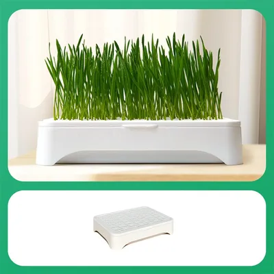 IntiMeg Jardinière Hydroponique pour Chat