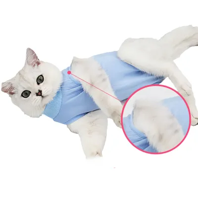 Petopia Combinaison de convalescence pour chat