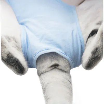 Petopia Combinaison de convalescence pour chat