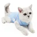 Petopia Combinaison de convalescence pour chat