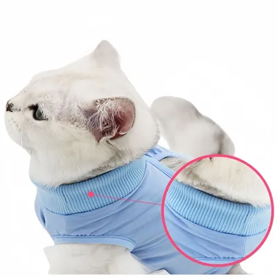 Petopia Combinaison de convalescence pour chat