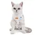 FurryFusion Combinaison de récupération Football pour chat