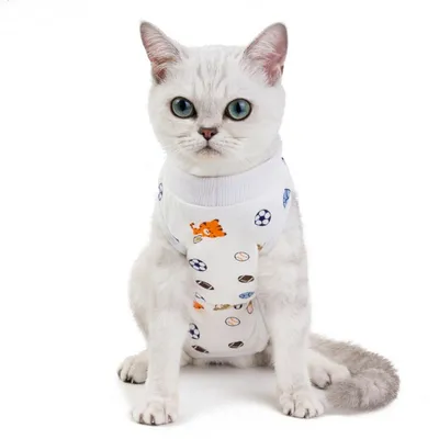 FurryFusion Traje de recuperación de fútbol para gatos