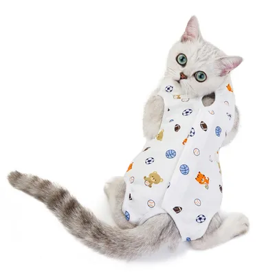 FurryFusion Combinaison de récupération Football pour chat
