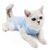 Petopia Combinaison de convalescence pour chat