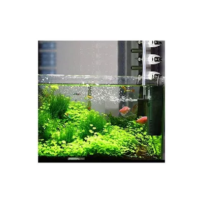 Filtre d'aquarium filtre interne pompe de filtre interne avec tige