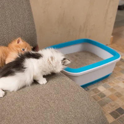 NOBA-Bac à Litière Aéré ECO Bleu