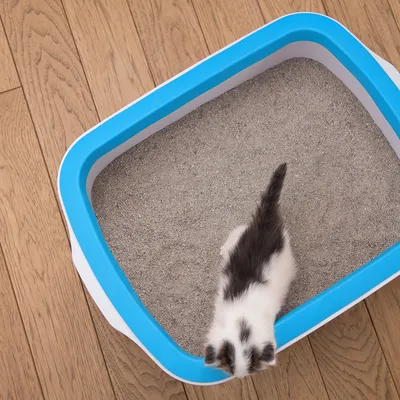 NOBA-Bac à Litière Aéré ECO Bleu