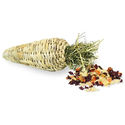 nanook Carotte à ronger JR FARM – 125 g – fourrée au foin et légumes