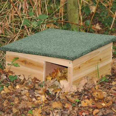 nanook Maison pour hérisson en bois naturel 40 x 40 x 19 cm