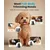 Tondeuse pour chiens et chats Oneisall 4 en 1, rechargeable