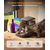 Gamelle Oneisall PF06 - Avec application et connexion Wi-Fi - 3L - sans fil