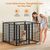 Yaheetech Parc pour Chien en 8 Panneaux