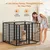 Yaheetech Parc pour Chien en 8 Panneaux